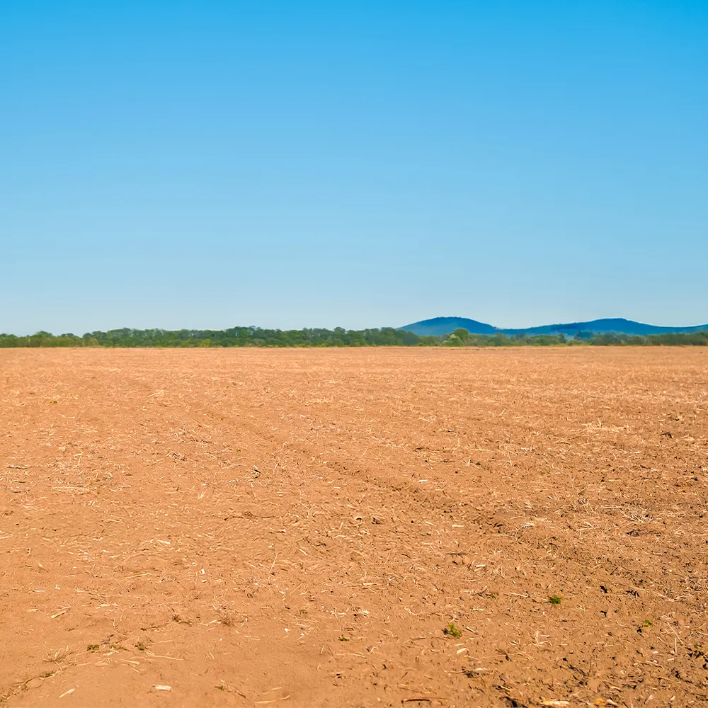 บริการรับขายฝาก