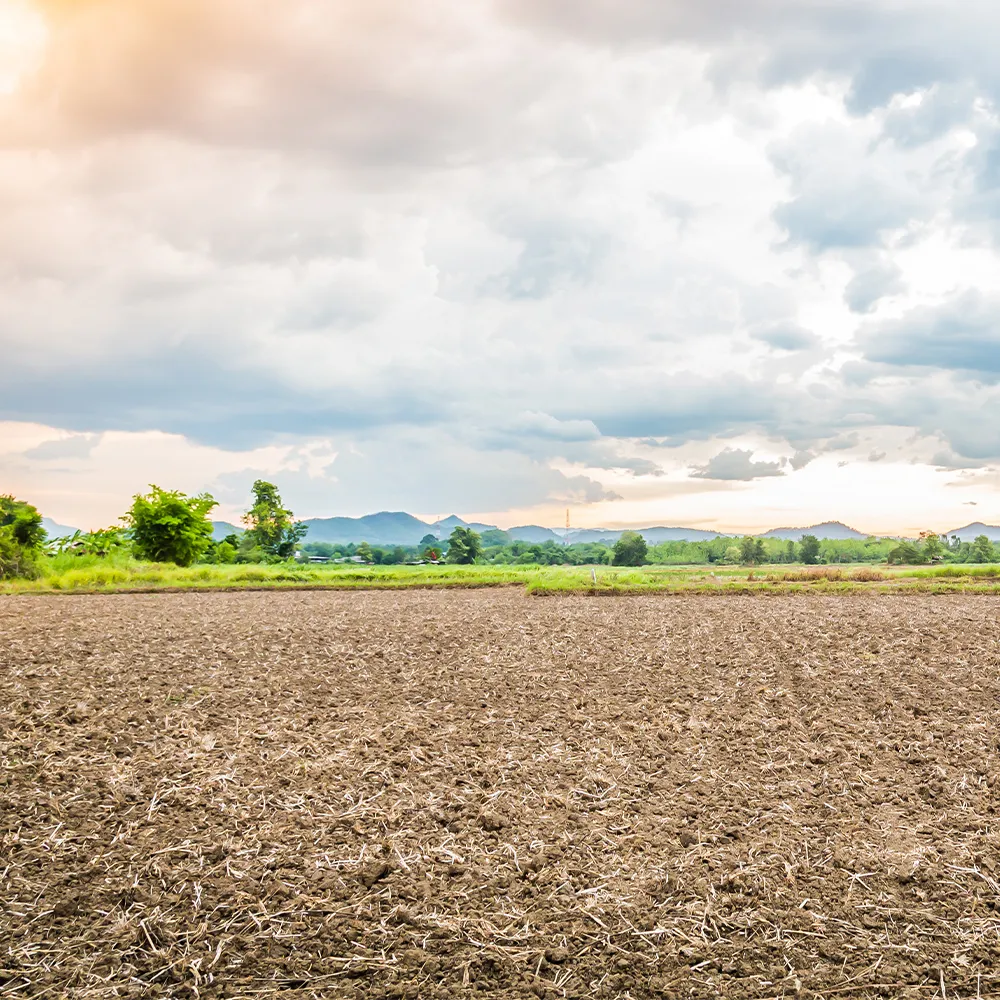 บริการรับซื้อที่ดิน